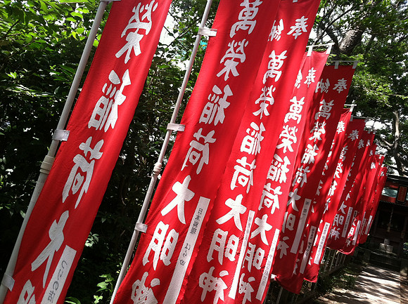 IMG_0203